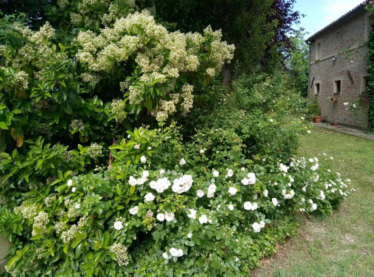 La Casa Di Tara B&B Armonia E Natura Recanati Exterior photo